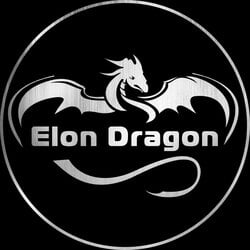 ELON DRAGON